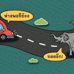 ต้องเว้นระยะห่างแค่ไหน ถึงเรียกว่าปลอดภัย ตอน ช้างป่า 