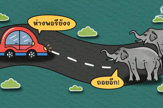 ต้องเว้นระยะห่างแค่ไหน ถึงเรียกว่าปลอดภัย ตอน ช้างป่า 
