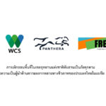 การเพิกถอนพื้นที่ในเขตอุทยานแห่งชาติทับลานเป็นภัยคุกคามต่อความเป็นผู้นำด้านความหลากหลายทางชีวภาพของประเทศไทยในเอเชีย