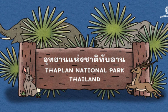 ชวนรู้จัก ‘ป่าทับลาน’ ชื่อนี้มีที่มาอย่างไร?