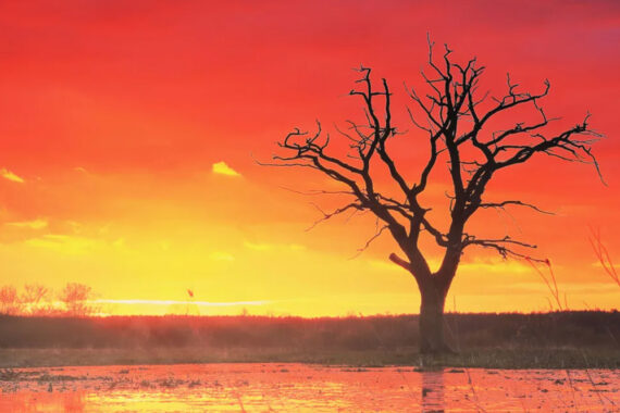 สภาพภูมิอากาศที่เหมือนทางด่วนมุ่งสู่นรกทางสภาพภูมิอากาศ โลกเผชิญความร้อนสุดเดือด 12 เดือนติดต่อกัน