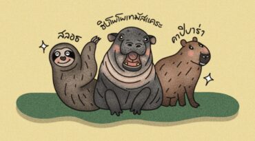 ‘คุณแฟลช กะปิปลาร้า และหมูเด้ง’ ว่าด้วยเรื่องการสร้างการรับรู้สู่การอนุรักษ์สัตว์ป่า จะทำอย่างไรให้เขารัก แม้ในวันที่เราไม่น่ารักก็ตาม