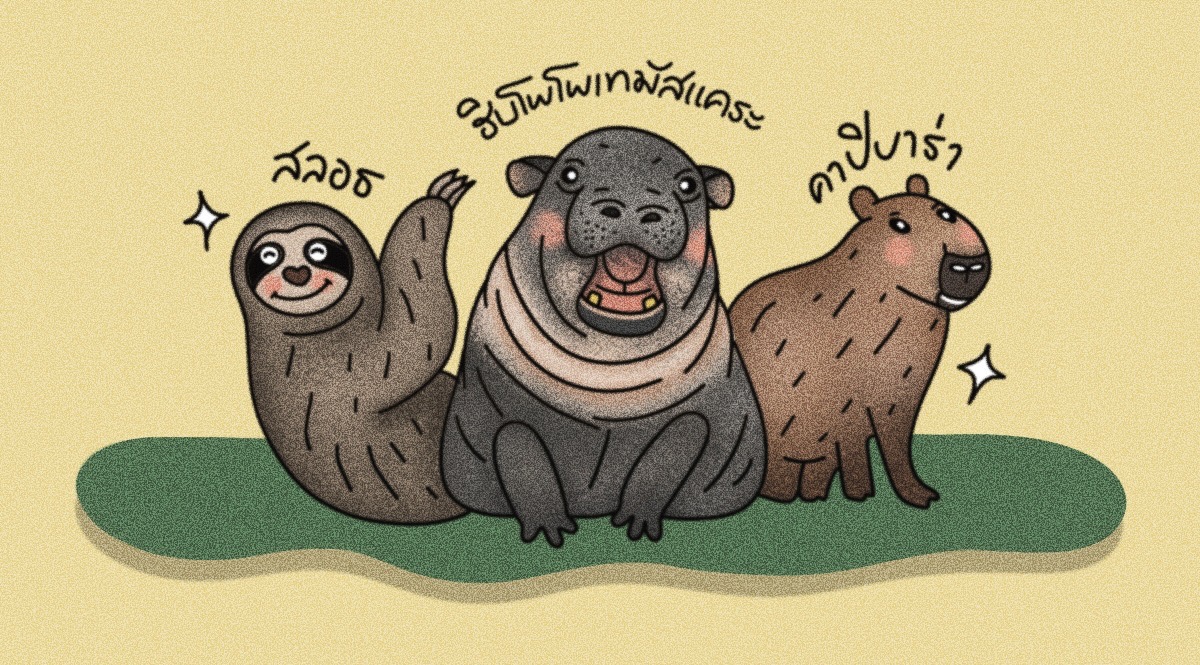 ‘คุณแฟลช กะปิปลาร้า และหมูเด้ง’ ว่าด้วยเรื่องการสร้างการรับรู้สู่การอนุรักษ์สัตว์ป่า จะทำอย่างไรให้เขารัก แม้ในวันที่เราไม่น่ารักก็ตาม