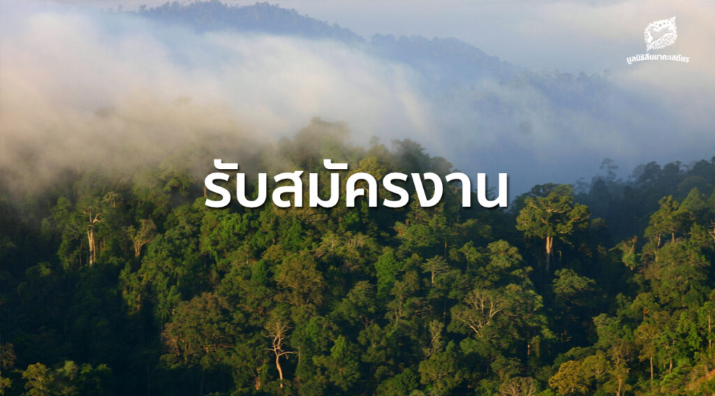 รับสมัครงาน เจ้าหน้าที่สื่อสารองค์กร 1 ตำแหน่ง