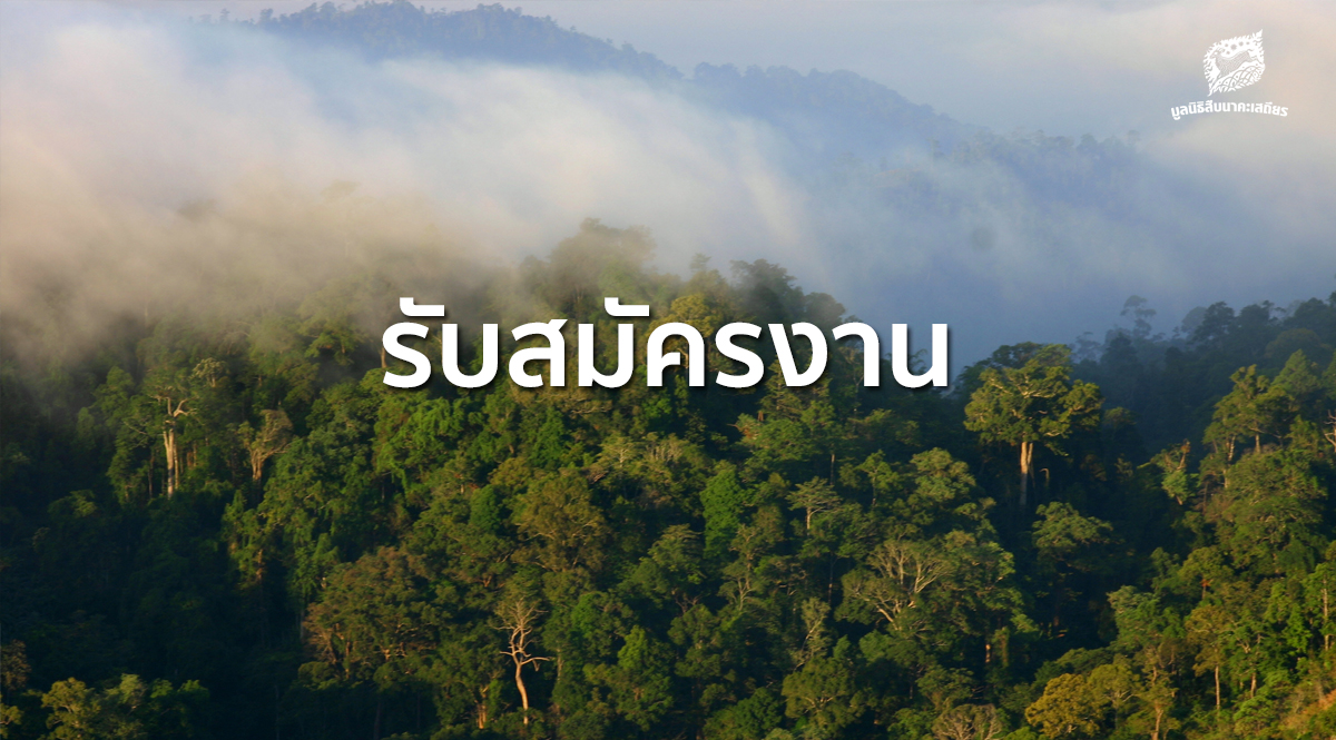ปิดรับสมัครงาน เจ้าหน้าที่โครงการฟื้นฟูประชากร ถิ่นอาศัยของควายป่า และการจัดการอย่างมีส่วนร่วม จำนวน 1 ตำแหน่ง