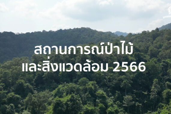 สถานการณ์ป่าไม้และสิ่งแวดล้อม 2566