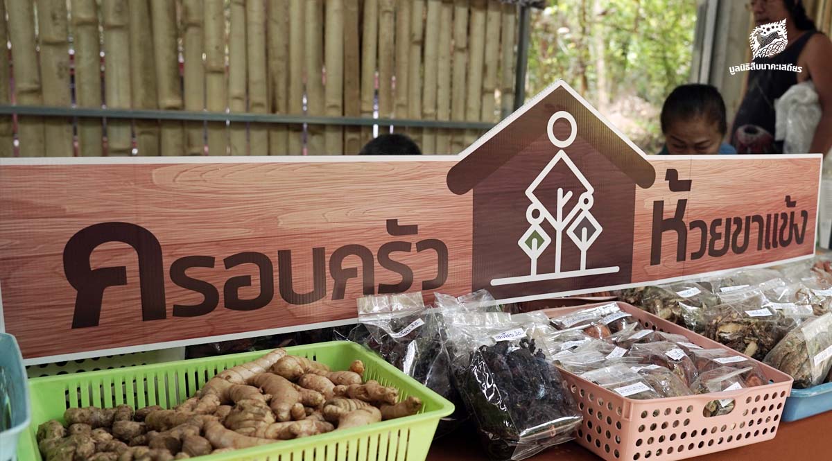 ชวนแวะเยี่ยม ‘ครอบครัวห้วยขาแข้ง’ ที่ตลาดซาวไฮ่