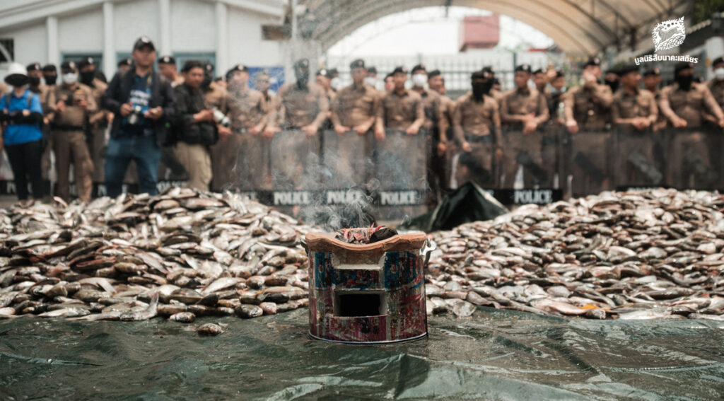 [PHOTO] เครือข่ายประชาชนสุดทน ขน 'ปลาหมอคางดำ' เททิ้งหน้าทำเนียบฯ หลัง 'นายกฯ' ไม่ออกมารับ 4 ข้อเรียกร้อง