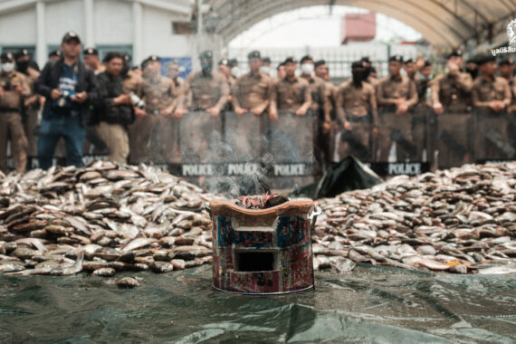 [PHOTO] เครือข่ายประชาชนสุดทน ขน ‘ปลาหมอคางดำ’ เททิ้งหน้าทำเนียบฯ หลัง ‘นายกฯ’ ไม่ออกมารับ 4 ข้อเรียกร้อง
