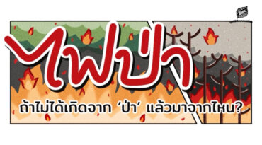 ‘ไฟป่า’ ถ้าไม่ได้เกิดจากป่าแล้วมาจากไหน? 