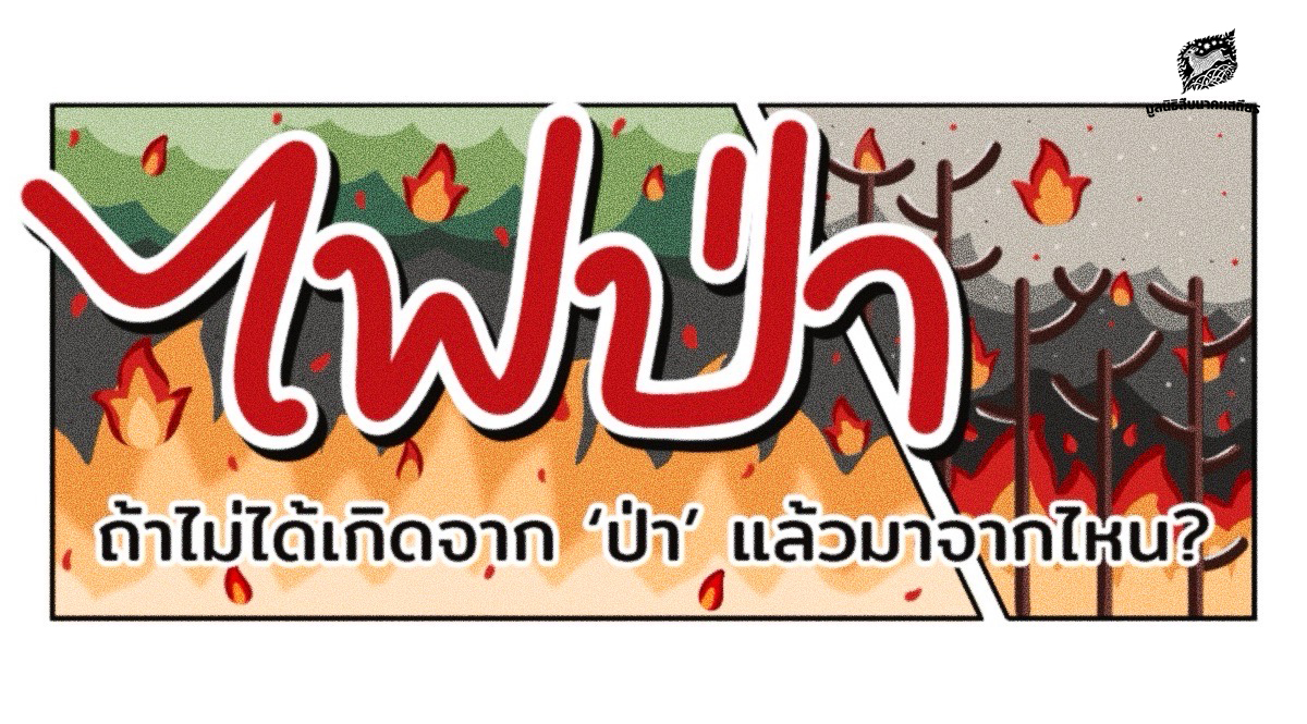 ‘ไฟป่า’ ถ้าไม่ได้เกิดจากป่าแล้วมาจากไหน? 