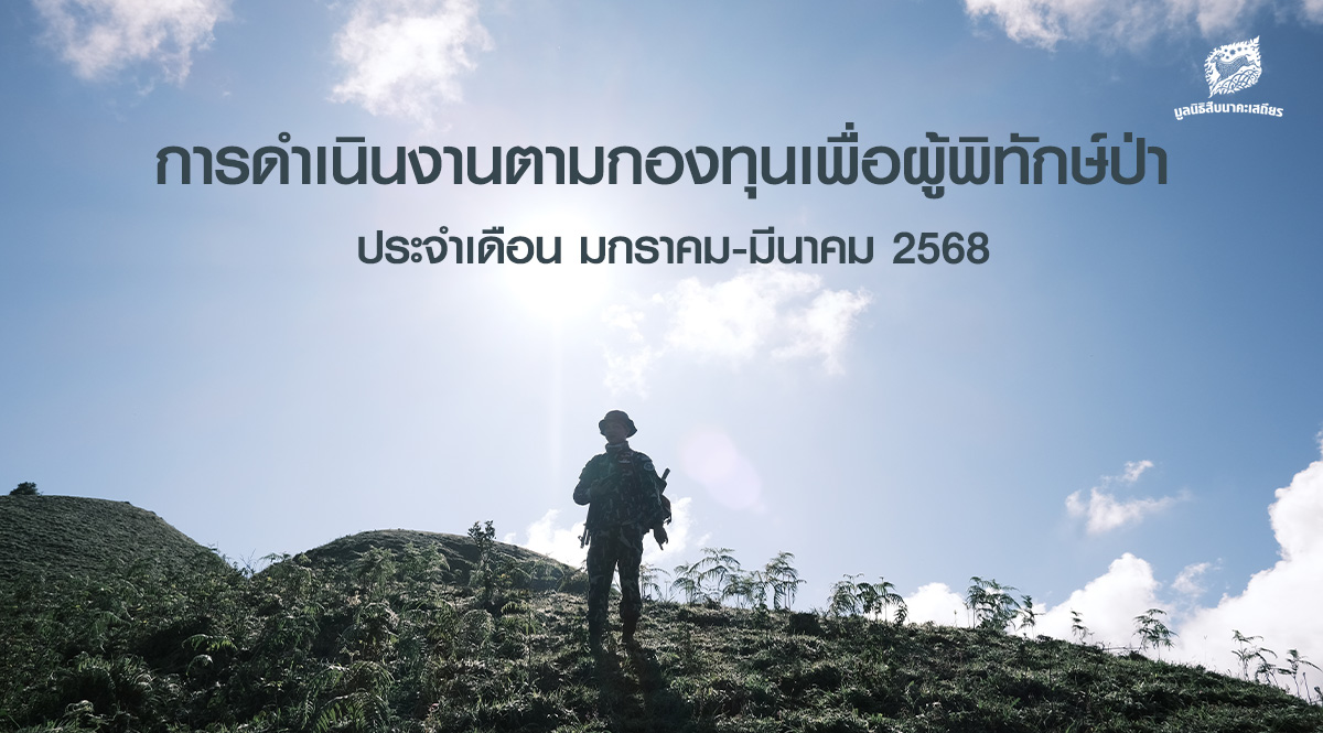 การดำเนินงานตามกองทุนเพื่อผู้พิทักษ์ป่า ประจำเดือนมกราคม-มีนาคม 2568