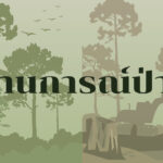 สถานการณ์ป่าไม้ประเทศไทย ปี 2567 