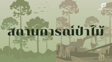 สถานการณ์ป่าไม้ประเทศไทย ปี 2567 
