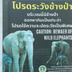 คนเฝ้าช้าง (ตอน 2)