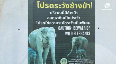 คนเฝ้าช้าง (ตอน 2)