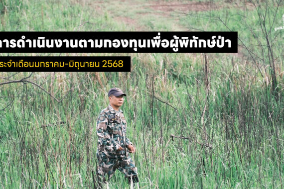 การดำเนินงานตามกองทุนเพื่อผู้พิทักษ์ป่า ประจำเดือนมกราคม-มิถุนายน 2568