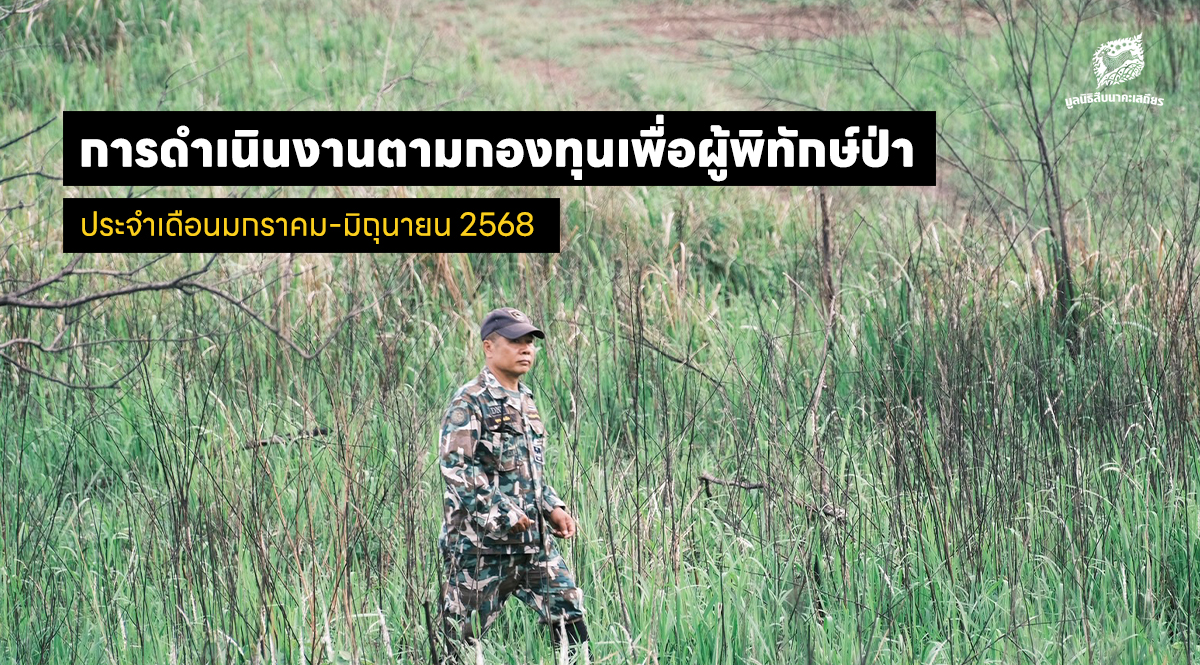 การดำเนินงานตามกองทุนเพื่อผู้พิทักษ์ป่า ประจำเดือนมกราคม-มิถุนายน 2568