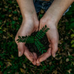 วันสิ่งแวดล้อมโลก (World Environment Day)