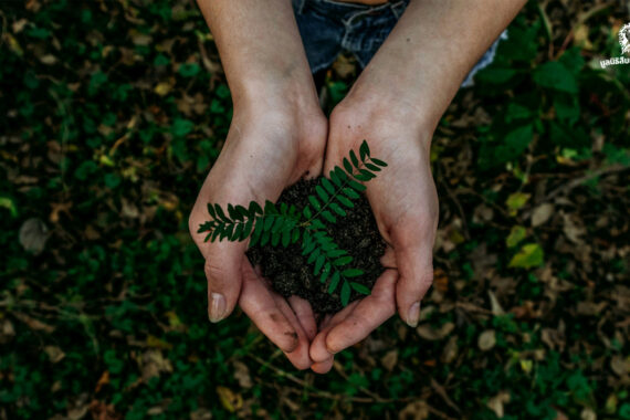 วันสิ่งแวดล้อมโลก (World Environment Day)