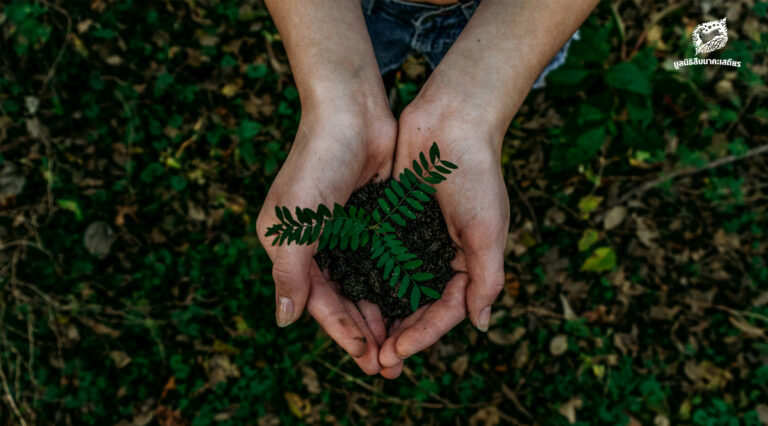 วันสิ่งแวดล้อมโลก (World Environment Day)