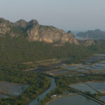 เมื่ออาชีพท้องถิ่นของชุมชน คือตัวแปรสำคัญในการอนุรักษ์บ้านเสือปลา