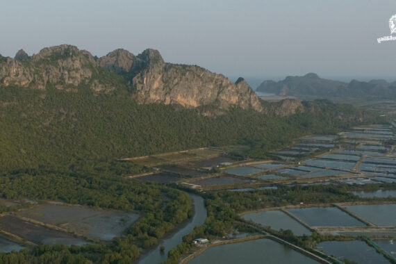 เมื่ออาชีพท้องถิ่นของชุมชน คือตัวแปรสำคัญในการอนุรักษ์บ้านเสือปลา