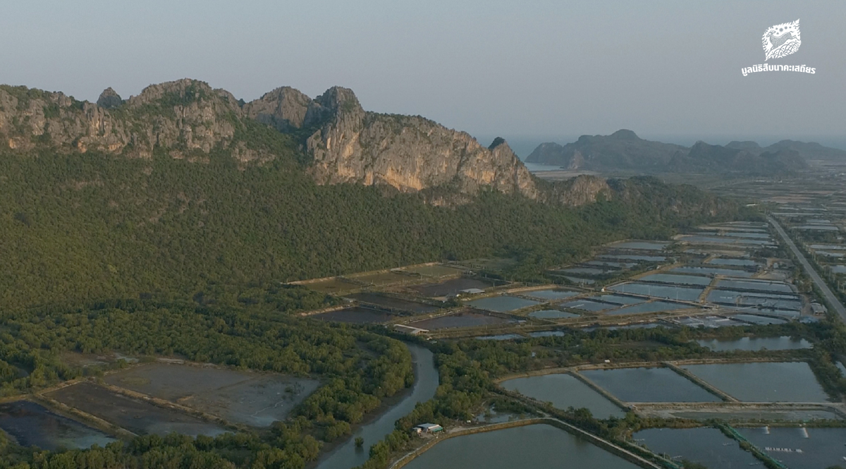 เมื่ออาชีพท้องถิ่นของชุมชน คือตัวแปรสำคัญในการอนุรักษ์บ้านเสือปลา