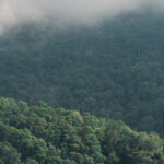 “วันรักษ์เขาใหญ่” สมบัติล้ำค่าของธรรมชาติที่ต้องรักษา