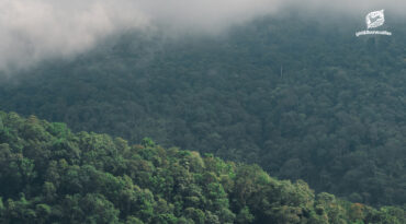 “วันรักษ์เขาใหญ่” สมบัติล้ำค่าของธรรมชาติที่ต้องรักษา