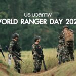 ประมวลภาพ วันผู้พิทักษ์ป่าโลก หรือ World Ranger Day