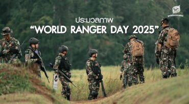 ประมวลภาพ วันผู้พิทักษ์ป่าโลก หรือ World Ranger Day