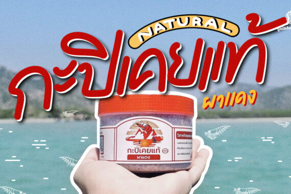 กะปิเคยแท้ผาแดง – ผลิตภัณฑ์อนุรักษ์เสือปลา