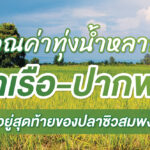 คุณค่าทุ่งน้ำหลาก ท่าเรือ-ปากพลี ที่อยู่สุดท้ายของปลาซิวสมพงษ์