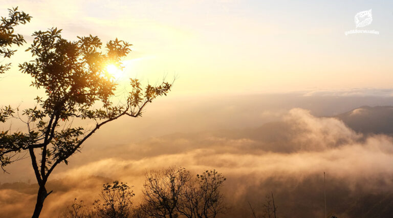 พ.ร.บ. อากาศสะอาดสิทธิขั้นพื้นฐานที่ทุกคนพึงได้รับอย่างเท่าเทียมกัน