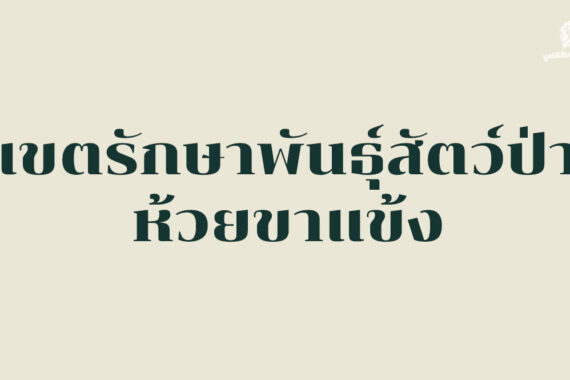 รู้จักเขตรักษาพันธุ์สัตว์ป่าป่าห้วยขาแข้ง