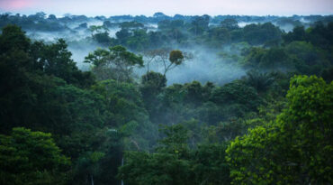 วิถีการอยู่กับป่ายั่งยืน คือยารักษาและเกราะป้องกันของมนุษย์จากโรคภัย