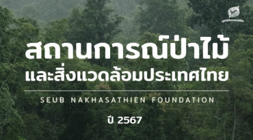 สถานการณ์ป่าไม้และสิ่งแวดล้อมไทย ปี 2567