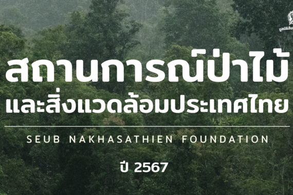 สถานการณ์ป่าไม้และสิ่งแวดล้อมไทย ปี 2567