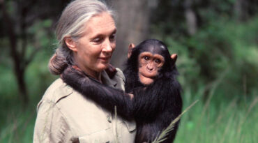 เจน กูดดอลล์ (3 เมษายน 1934 - 1 ตุลาคม 2025)