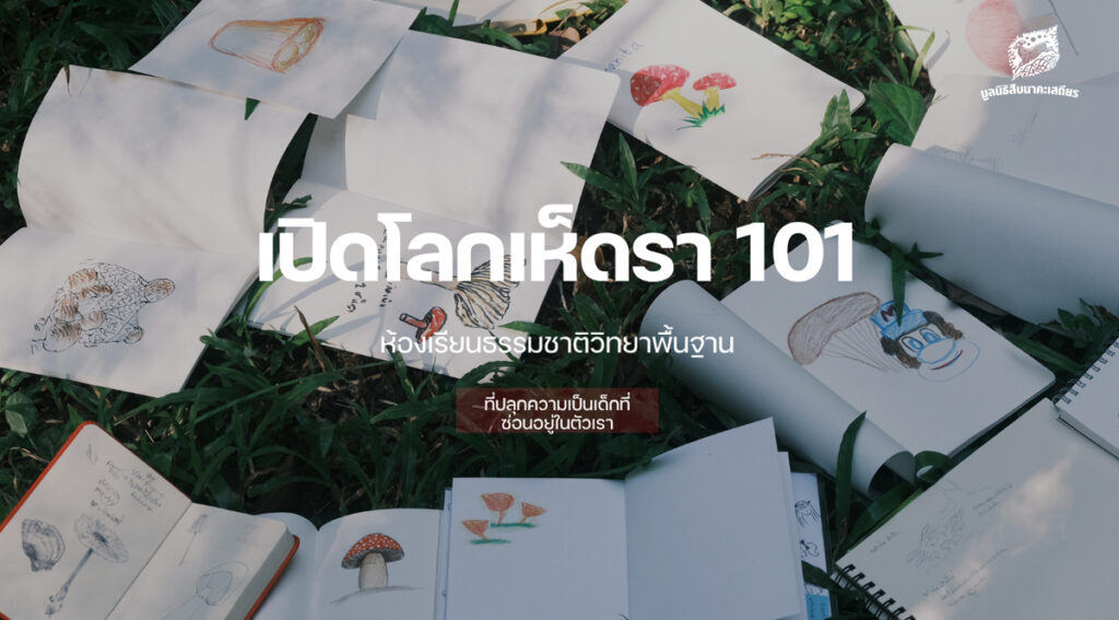 เปิดโลกเห็ดรา 101 ห้องเรียนธรรมชาติวิทยาพื้นฐาน ที่ปลุกความเป็นเด็กที่ซ่อนอยู่ในตัวเรา