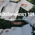 เปิดโลกเห็ดรา 101 ห้องเรียนธรรมชาติวิทยาพื้นฐาน ที่ปลุกความเป็นเด็กที่ซ่อนอยู่ในตัวเรา