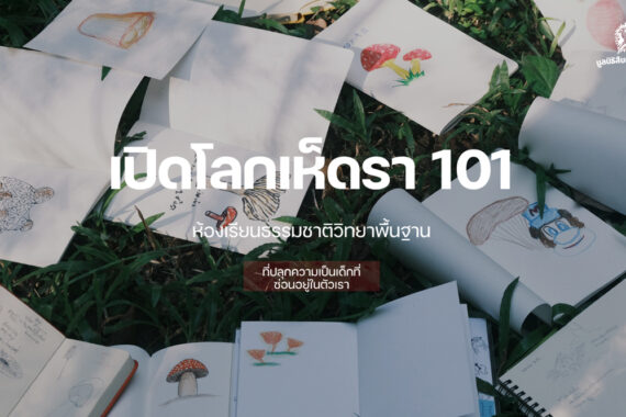 เปิดโลกเห็ดรา 101 ห้องเรียนธรรมชาติวิทยาพื้นฐาน ที่ปลุกความเป็นเด็กที่ซ่อนอยู่ในตัวเรา