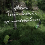 คู่มือขั้นกลาง โรงเรียนนักเดินป่า อุทยานแห่งชาติน้ำพอง