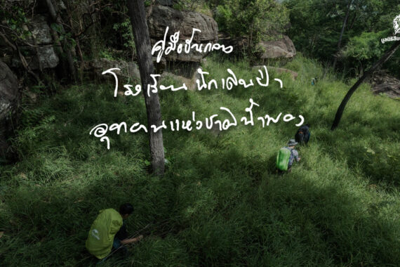 คู่มือขั้นกลาง โรงเรียนนักเดินป่า อุทยานแห่งชาติน้ำพอง