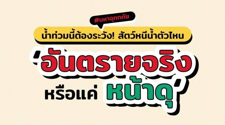 น้ำท่วมนี้ต้องระวัง! สัตว์หนีน้ำตัวไหน ‘อันตรายจริงหรือแค่หน้าดุ’