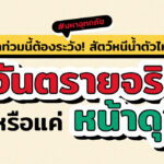 น้ำท่วมนี้ต้องระวัง! สัตว์หนีน้ำตัวไหน ‘อันตรายจริงหรือแค่หน้าดุ’