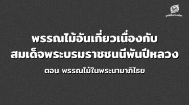 พรรณไม้อันเกี่ยวเนื่องกับสมเด็จพระบรมราชชนนี พันปีหลวง ตอน พรรณไม้ในพระนามาภิไธย