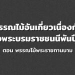 พรรณไม้อันเกี่ยวเนื่องกับสมเด็จพระบรมราชชนนี พันปีหลวง ตอน พรรณไม้พระราชทานนาม