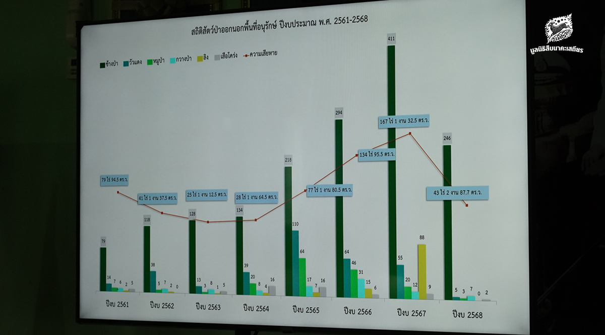 คนเฝ้าช้าง (ตอน 7)